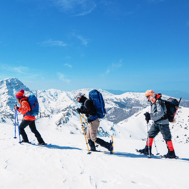 Professional title: "21-Inch Lightweight Terrain Snowshoes with 4-in-1 Flexible Pivot System"