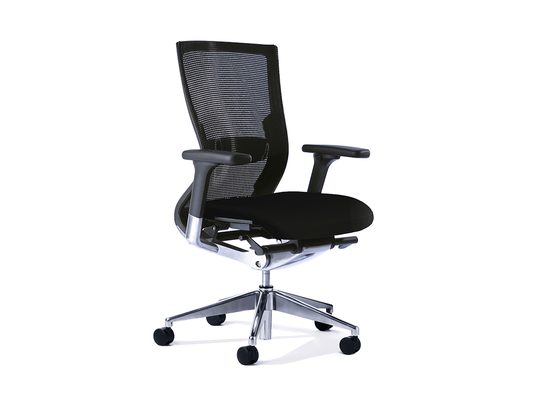 Balance Executive Chair with Arms & Lumbar