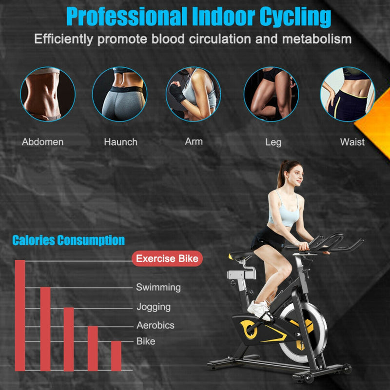 Magnetic Exercise Bike Fixed Belt Drive Indoor Bicycle